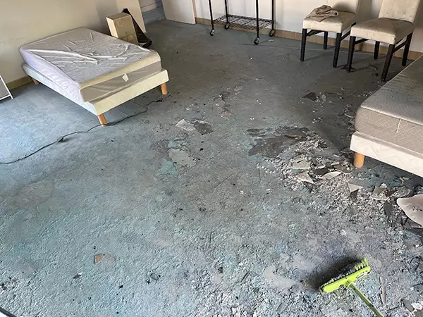Désinfection de maisons insalubres