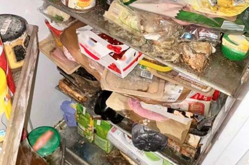 Vis ma vie de logement insalubre : journal d’un frigo abandonné